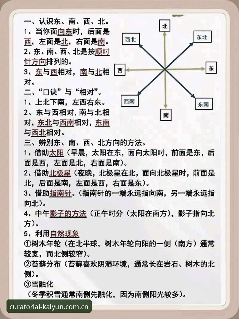 从“下载哪个”到“选什么方向”：The Curatorial Axis中国站安卓版下载决策的深层逻辑